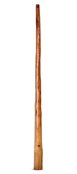 Tristan O'Meara Didgeridoo (TM256)